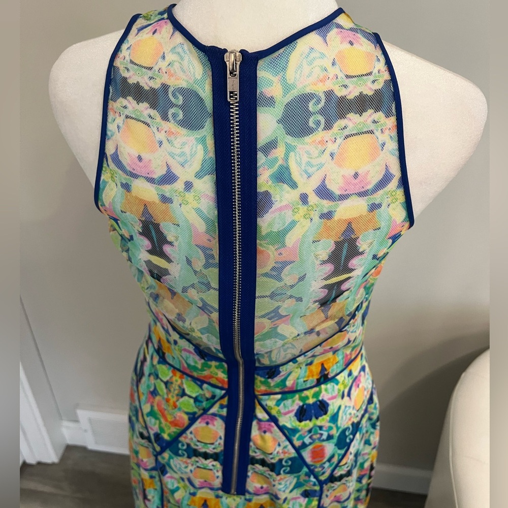 Milly Multi-Color Sheer Mesh Racer Back Dress. - Picture 5 of 16